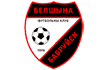 логотип Белшина
